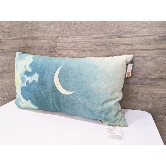 John Derian Other - New John Derian witching hour pillow